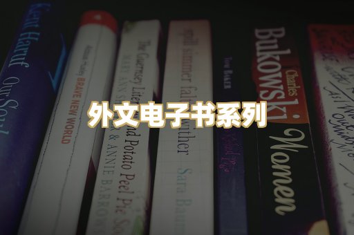 外文电子书系列